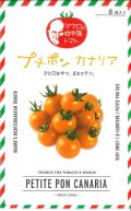 送料無料　[トマト/マウロの地中海トマト]　プチポンカナリア　8粒　サナテックシード（株）