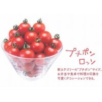 [トマト/マウロの地中海トマト]　プチポンロッソ　100粒