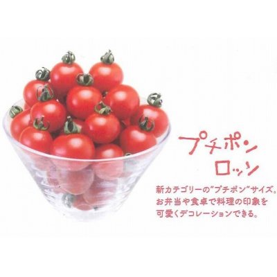 画像1: [トマト/マウロの地中海トマト]　送料無料！　プチポンロッソ　1000粒