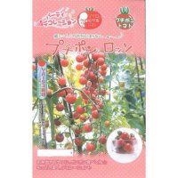 送料無料　[トマト/マウロの地中海トマト]　プチポンロッソ　8粒　サナテックシード（株）