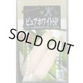 送料無料　[とうもろこし]　ピュアホワイトSP　200粒　雪印種苗（株）