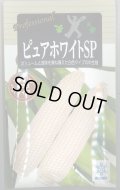 送料無料　[とうもろこし]　ピュアホワイトSP　200粒　雪印種苗（株）
