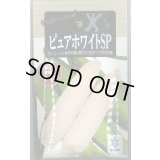 送料無料　[とうもろこし]　ピュアホワイトSP　200粒　雪印種苗（株）