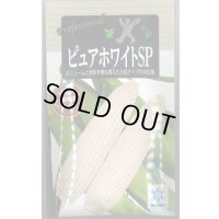 送料無料　[とうもろこし]　ピュアホワイトSP　200粒　雪印種苗（株）