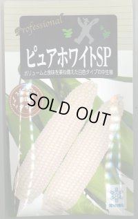 送料無料　[とうもろこし]　ピュアホワイトSP　200粒　雪印種苗（株）