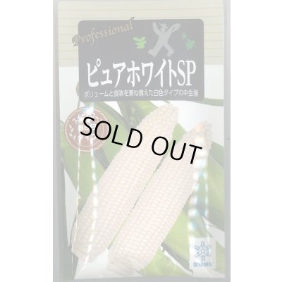 画像1: 送料無料　[とうもろこし]　ピュアホワイトSP　200粒　雪印種苗（株）