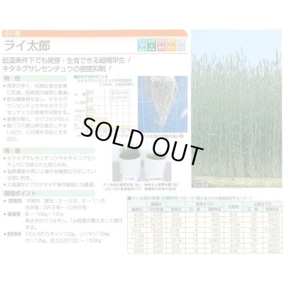 画像2: [緑肥] ライ麦 ライ太郎 1kg タキイ種苗(株)