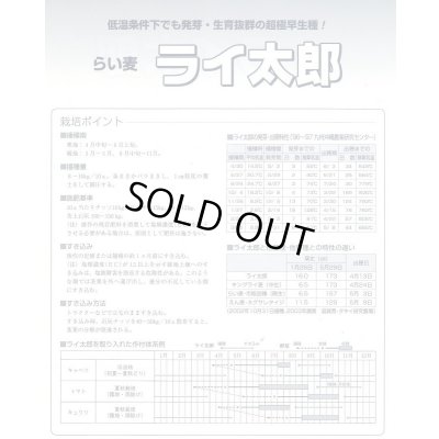 画像4: [緑肥] ライ麦 ライ太郎 1kg タキイ種苗(株)