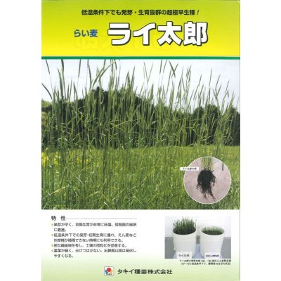 画像3: [緑肥]　ライ麦　ライ太郎　1kg　タキイ種苗(株)