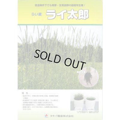 画像3: [緑肥] ライ麦 ライ太郎 1kg タキイ種苗(株)