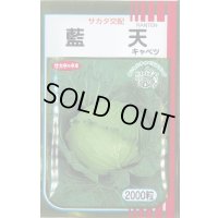 送料無料　[キャベツ]　藍天　2000粒　（株）サカタのタネ