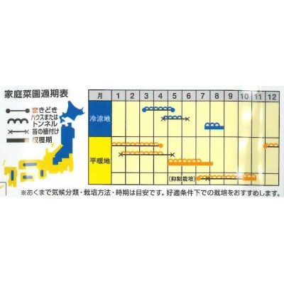 画像3: [スイカ]　大玉スイカ　羅皇（らおう）　200粒　ナント種苗（株）