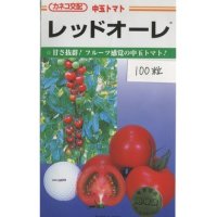 [トマト/中玉トマト]　レッドオーレ　100粒　カネコ交配