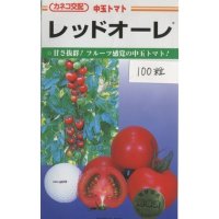 [トマト/中玉トマト]　レッドオーレ　100粒　カネコ交配