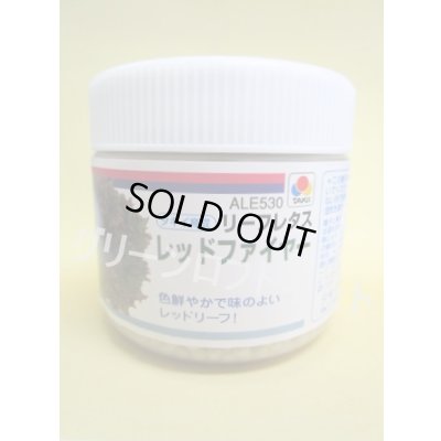 画像1: [レタス]　リーフレタス　レッドファイヤー　ペレット5000粒　タキイ種苗(株)