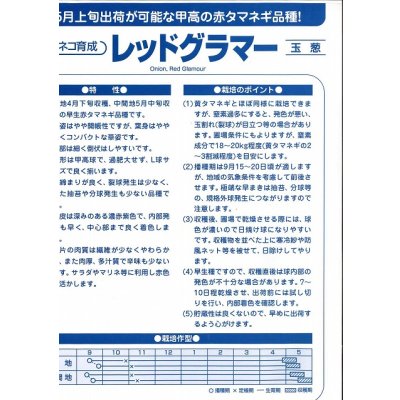 画像4: 送料無料　[たまねぎ]　レッドグラマー（PVP)　　1dl　カネコ種苗（株）