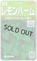 送料無料　[ハーブの種]　レモンバーム　約700粒　(株)サカタのタネ　実咲（003193）