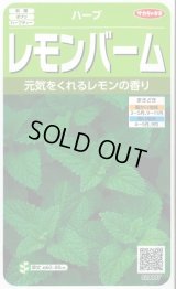 送料無料　[ハーブの種]　レモンバーム　約700粒　(株)サカタのタネ　実咲（003193）