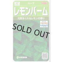 送料無料　[ハーブの種]　レモンバーム　約700粒　(株)サカタのタネ　実咲（003193）