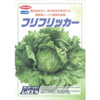 画像2: [レタス]　フリフリッカー　ペレット5000粒　（株）サカタのタネ