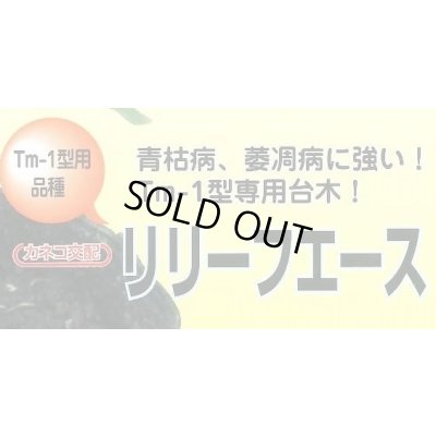 画像2: 送料無料　[台木/トマト用]　リリーフエース　1000粒　カネコ種苗（株）
