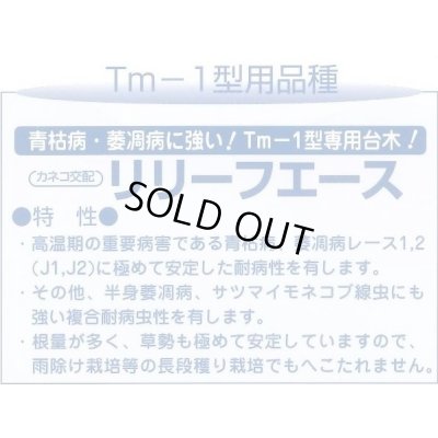 画像3: 送料無料　[台木/トマト用]　リリーフエース　1000粒　カネコ種苗（株）