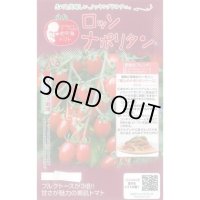 送料無料　[トマト/マウロの地中海トマト]　ロッソナポリタン　8粒　サナテックシード（株）
