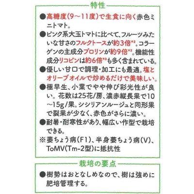画像4: 送料無料　[ミニトマト]　ロッソナポリタン　100粒　サナテックシード（株）