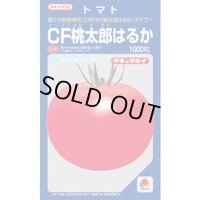 送料無料　[トマト/桃太郎系]　ＣＦ桃太郎はるか　1000粒　タキイ種苗(株)