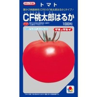 画像1: [トマト/桃太郎系]　送料無料！　送料無料！　ＣＦ桃太郎はるか　1000粒　タキイ種苗（株）