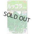 送料無料　[ハーブの種]　ロケット(ルッコラ)　約700粒　(株)サカタのタネ　実咲（003195）