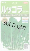 送料無料　[ハーブの種]　ロケット(ルッコラ)　約700粒　(株)サカタのタネ　実咲（003195）