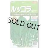 送料無料　[ハーブの種]　ロケット(ルッコラ)　約700粒　(株)サカタのタネ　実咲（003195）