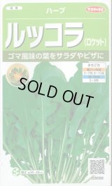 送料無料　[ハーブの種]　ロケット(ルッコラ)　約700粒　(株)サカタのタネ　実咲（003195）