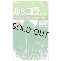 送料無料　[ハーブの種]　ロケット(ルッコラ)　約700粒　(株)サカタのタネ　実咲（003195）