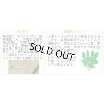 画像2: 送料無料　[ハーブの種]　ロケット(ルッコラ)　約700粒　(株)サカタのタネ　実咲（003195）