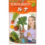送料無料　[イタリア野菜]　ルナ　80粒　トキタ種苗(株)