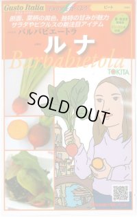[イタリア野菜] ルナ 80粒 トキタ種苗(株)