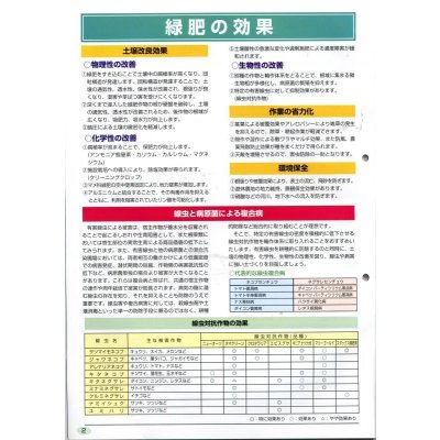 画像7: [緑肥]　ネマクリーン(マメ科)1kg　カネコ種苗(株)