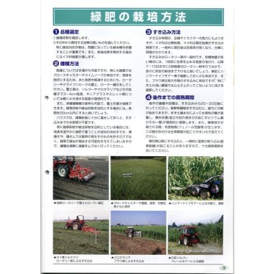 画像6: [緑肥]　ネマクリーン(マメ科)1kg　カネコ種苗(株)