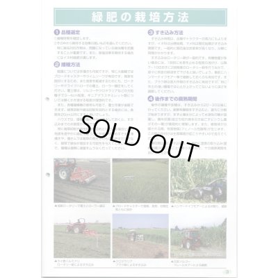 画像6: [緑肥]　ネマクリーン(マメ科)1kg　カネコ種苗(株)