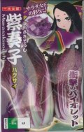 送料無料　[白菜]　紫奏子(紫白菜)　40粒　ナント種苗（株）