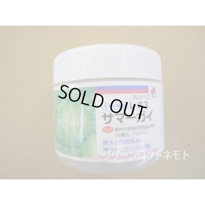 画像1: [レタス]　サマーガイ　ペレット種子　5000粒　タキイ種苗(株)