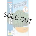 送料無料　[スイカ]　小玉スイカ　サマーオレンジB　7粒　ナント種苗(株)