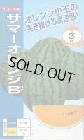 送料無料　[スイカ]　小玉スイカ　サマーオレンジB　7粒　ナント種苗(株)