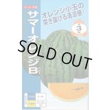 送料無料　[スイカ]　小玉スイカ　サマーオレンジB　7粒　ナント種苗(株)