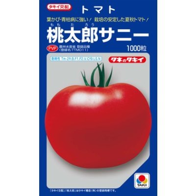 画像1: [トマト/桃太郎系]　送料無料！　桃太郎　サニー　1000粒 貴種（コートしてません）　タキイ種苗（株）