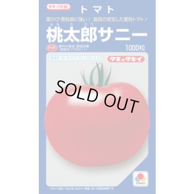 画像1: 送料無料　[トマト/桃太郎系]　桃太郎　サニー　1000粒　貴種(コートしてません)　タキイ種苗(株)