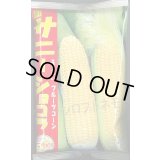 [とうもろこし]　サニーショコラ　2000粒　ヴィルモランみかど（株）