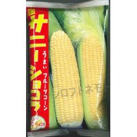 [とうもろこし]　サニーショコラ　2000粒　ヴィルモランみかど